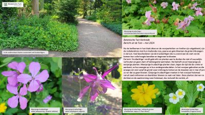 PowerPoint-presentatie