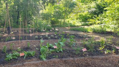 5c6883e3-1403-c0b9-d70c-acbf079fba77