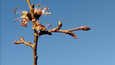 d2c33145-261a-9272-5ecc-08de6ddf5a95