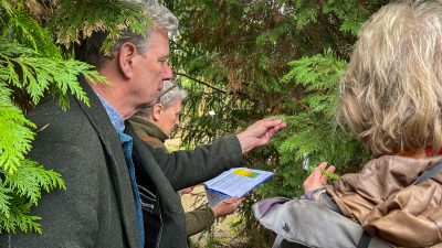 pinetum-2